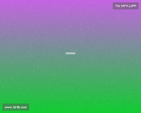 辽宁女排比赛时间